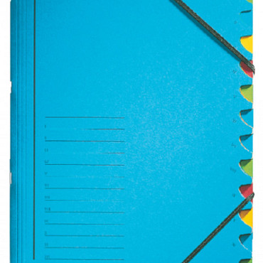 Sorteermap Leitz 12 tabbladen karton blauw