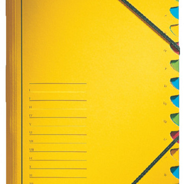 Sorteermap Leitz 12 tabbladen karton geel