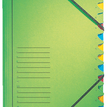 Sorteermap Leitz 12 tabbladen karton groen