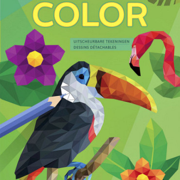 Kleurboek Deltas Poly Art Color
