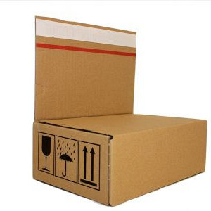 Webshopdoos 2.1 met zelfklevende strip 230x160x80mm per stuk