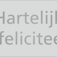 Etiket / Sticker Hartelijk gefeliciteerd zilver 500 stuks