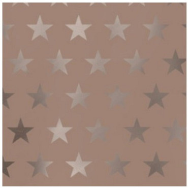 Cadeaupapier 50cm dessin K89541 Ster rose gold