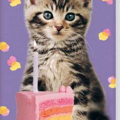 Verjaardagskalender Interstat Rachael Hale Kittens
