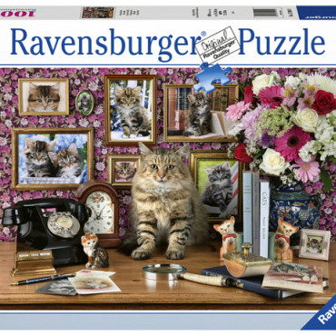 Puzzel Ravensburger Mijn katjes 1000 stukjes