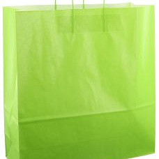 Papieren koordtas 45x17x47cm 50st licht groen