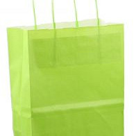Papieren koordtas 18x08x22cm 50st licht groen