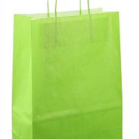 Papieren koordtas 22x10x31cm 50st licht groen