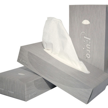 Facial tissues Euro Products 2-laags 100 vel wit 140040