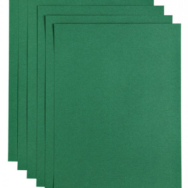 Kopieerpapier Papicolor A4 100gr 12vel dennengroen