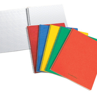 Schrift Aurora 105x160mm ruit 5x5mm 240 pagina's 60gr assorti