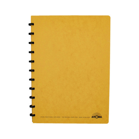 Schrift Atoma A4 ruit 5x5mm 144blz 90gr karton assorti