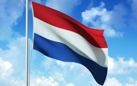 Vlag nederland stof 120x180cm