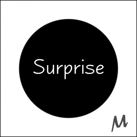 Etiket / Sticker wit-zwart 'Surprise ' 500 stuks