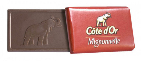 Chocolade Cote d'Or mignonnette melk 24x10gr