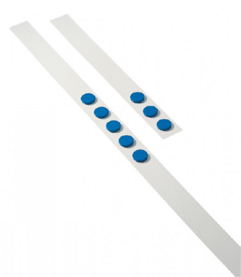 Wandlijst Desq 100cm met 5 blauwe magneten 32mm