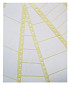 Etiket Avery Zweckform T3014 102x36mm 1-baans wit 4000stuks