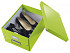 Opbergbox Leitz WOW Click & Store 281x200x370mm groen