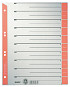 Scheidingsbladen Leitz A4 karton 230gr 6-gaats rood
