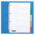 Tabbladen Quantore 4-gaats 5-delig assorti tabs PP