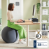 Leitz Ergo Actieve zitbal 65cm Anti Rol donkergrijs