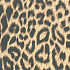 Cadeaupapier 50cm dessin 998 panter 200 meter