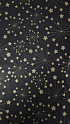 Zijdevloei papier 50x75cm 22gr 100 vel zwart met gouden sterren