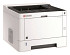 Printer Laser Kyocera Ecosys P2040DN