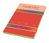 Kopieerpapier Fastprint A4 80gr 10kleuren x25vel 250vel