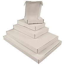 brievenbusdoos a4 met klep 310x220x28mm wit 50 stuks