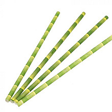 drinkrietje papier bamboe 6mm x 200mm 200 stuks