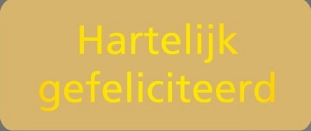 etiket sticker hartelijk gefeliciteerd goud 500 stuks