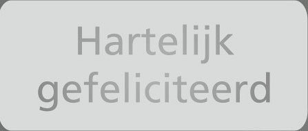 etiket sticker hartelijk gefeliciteerd zilver 500 stuks