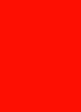 prijskaart 6x8cm 100st. fluor rood