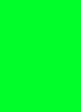prijskaart 6x8cm 100st. fluor groen