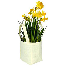 tas pastel vilt 9 5x9xh11cm geel 20 stuks 