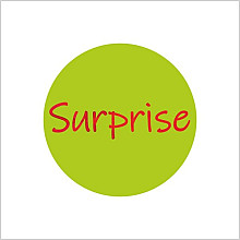 etiket sticker rond 39mm 250 stuks surprise