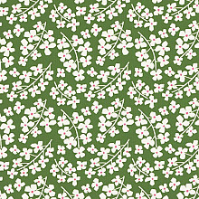 cadeaupapier 50cm des. 1024 groen margrieten