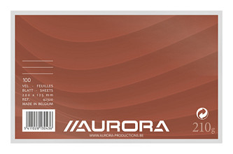 systeemkaart aurora 200x125mm lijn met rode koplijn 210gr wit 100 vel