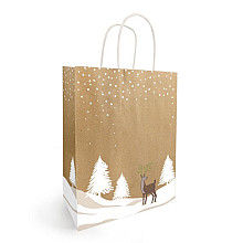 papieren koordtas kerst 23x12x30cm tino 50 stuks