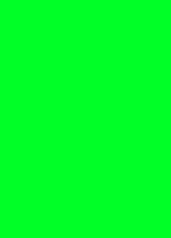 prijskaart 8x12cm 100 stuks fluor groen