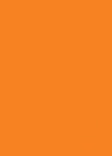 prijskaart 6x8cm 100st. fluor oranje