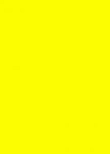 prijskaart 12x16cm 100st. fluor geel