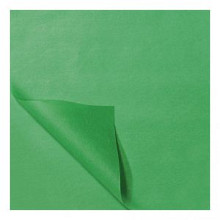 zijdevloei papier 50x75cm 22gr 100 vel licht groen