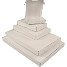 brievenbusdoos met klep 310x220x28mm wit per stuk