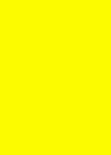 prijskaart 6x8cm 100st. fluor geel