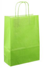 papieren koordtas 22x10x31cm 50st licht groen