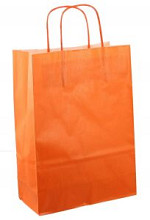 papieren koordtas 22x10x31cm 50st oranje