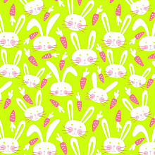 cadeaupapier 50cm dessin 203 nature eco paashaas