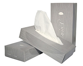 facial tissues euro products 2 laags 100 vel wit 140040